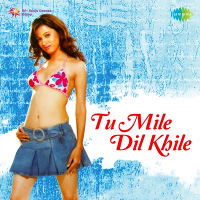  - Tu Mile Dil Khile