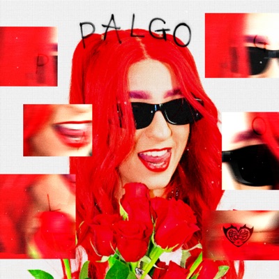  - Palgo