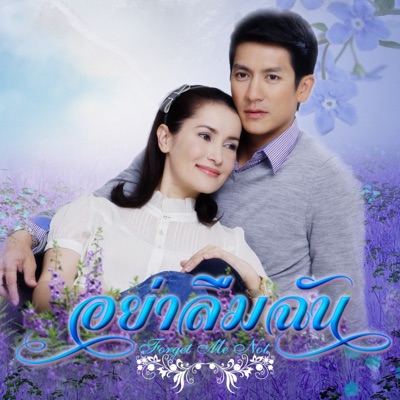  - เพลงประกอบละคร อย่าลืมฉัน