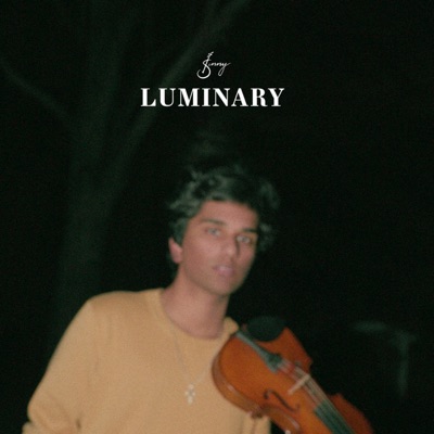  - Luminary