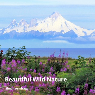  - Beautiful Wild Nature