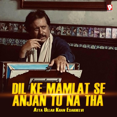  - Dil Ke Mamlat Se Anjan Tu Na Tha