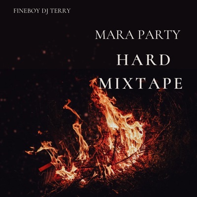  - Mara Party Hard Mixtape (feat. Elena Mara Beat _ Owo Oluwa _ Happiest Year _ Jijo Poco) [Mara Beat]