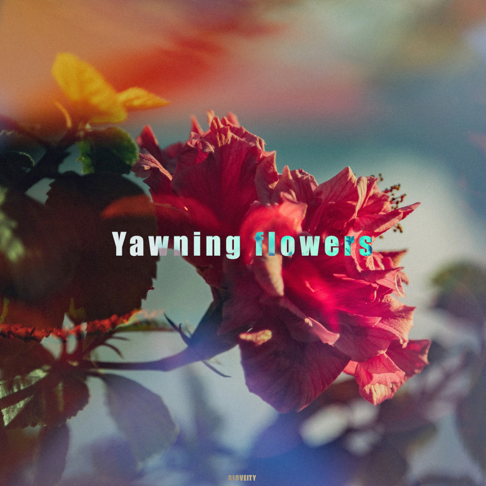 Gloveity - Yawning Flowers