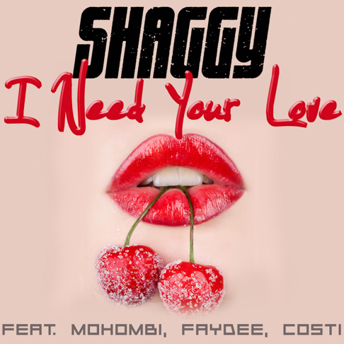 DiRealShaggy - I Need Your Love (feat. Mohombi, Faydee & Costi)