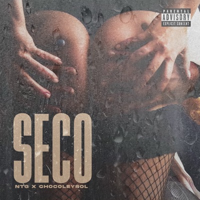  - Seco