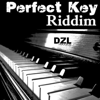  - Perfect Key Riddim