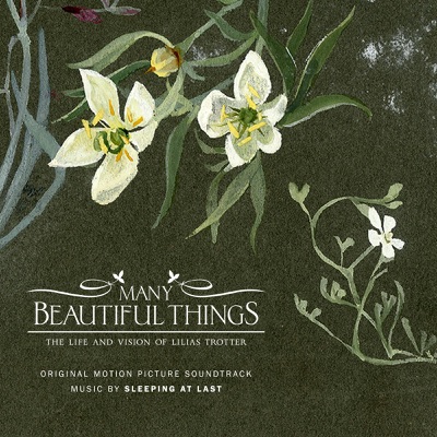  - Many Beautiful Things (Original Motion Picture Soundtrack)