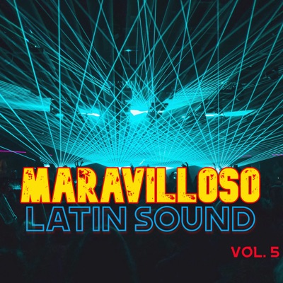  - Maravilloso Latin Sound Vol. 5