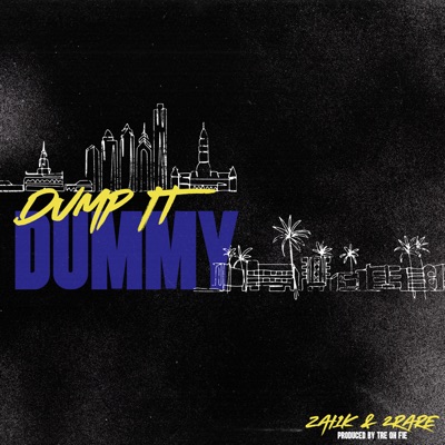  - Dump It Dummy