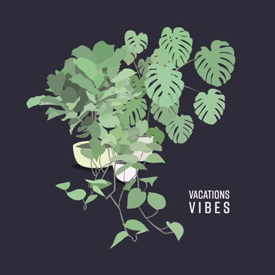  - Vibes