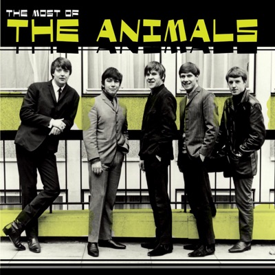  - The Most of The Animals