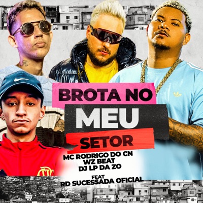  - Brota no Meu Setor (feat. Rd Sucessada Oficial)