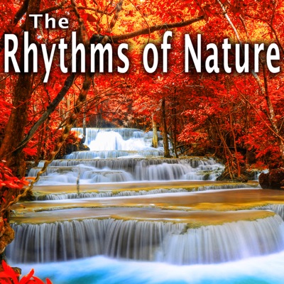  - The Rhythms of Nature