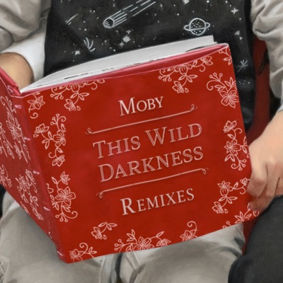  - This Wild Darkness (Remixes)