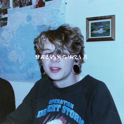 salvia palth - Melanchole