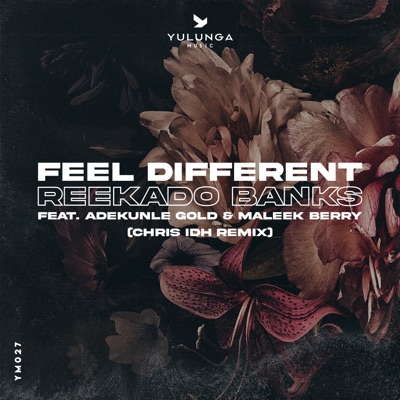  - Feel Different (feat. Adekunle Gold & Maleek Berry) [Chris IDH Remix]