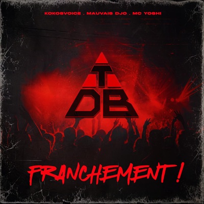  - Franchement ! (feat. Kokosvoice, MC YOSHI & Mauvais Djo)