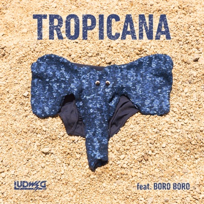  - TROPICANA (feat. Boro Boro)