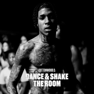  - Cottonwood 2: DANCE & SHAKE the ROOM