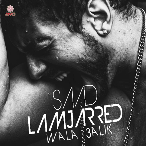 Saad Lamjarred & Shreya Ghoshal - Wala Alik
