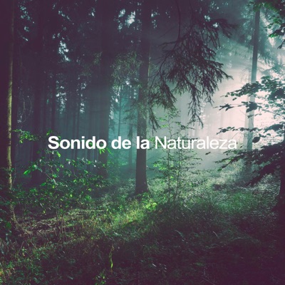  - Sonido de la Naturaleza