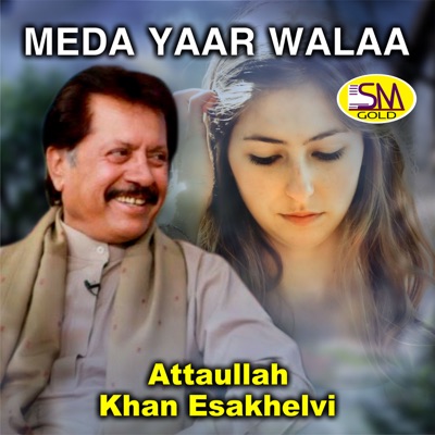  - Meda Yaar Walaa
