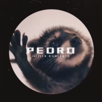  - Pedro Pedro Pedro (Hardstyle Remix)