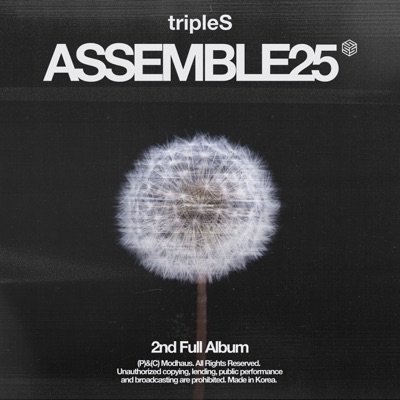  - <ASSEMBLE25>