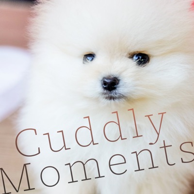  - Cuddly Moments
