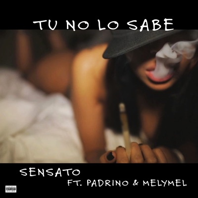  - Tu No Lo Sabe (feat. MELYMEL & PADRINO)