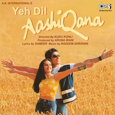  - Yeh Dil Aashiqana (Original Motion Picture Soundtrack)