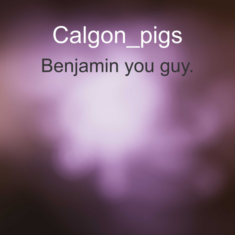 Calgon_pigs - Benjamin You Guy.