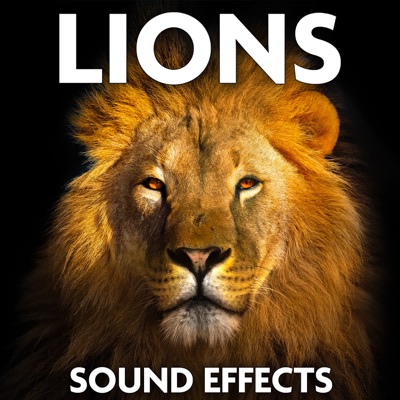  - Lions Sound Effects