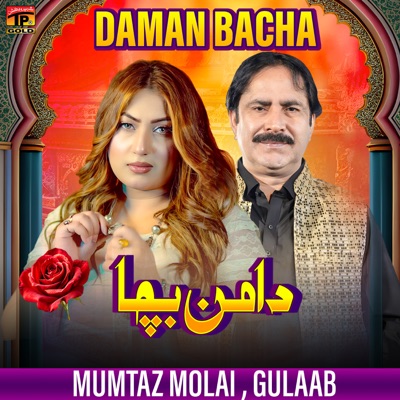  - Daman Bacha