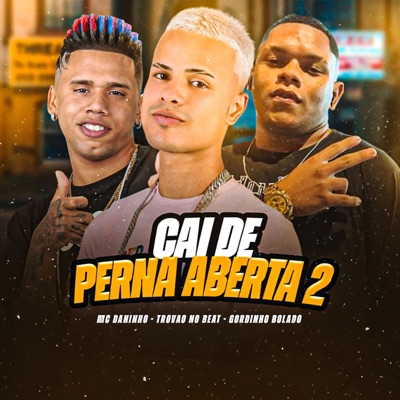  - Cai de Perna Aberta 2