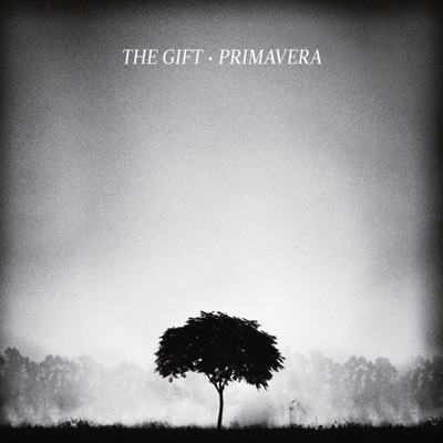  - Primavera