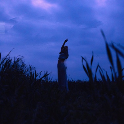  - Dreamscape
