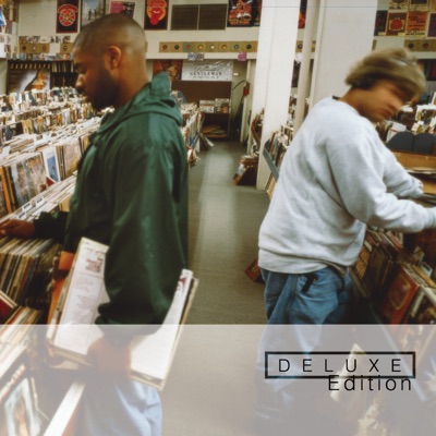  - Endtroducing (Deluxe Edition)