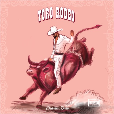  - TORO RODEO