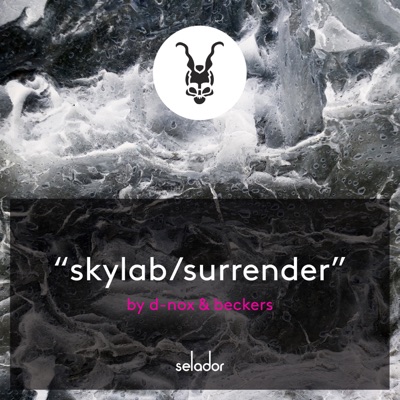  - Skylab / Surrender