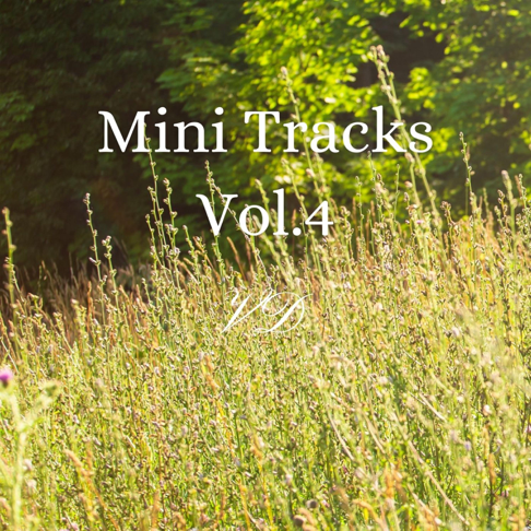 Veaceslav Draganov - Mini Tracks, Vol. 4