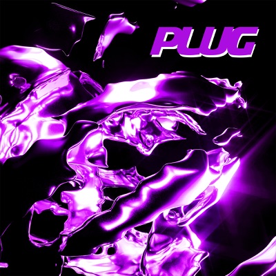  - Plug