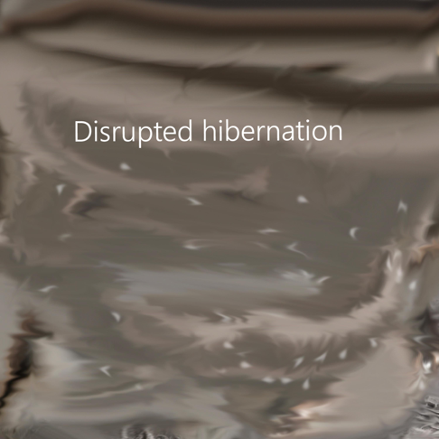 Cheese Rocket - Disrupted Hibernation