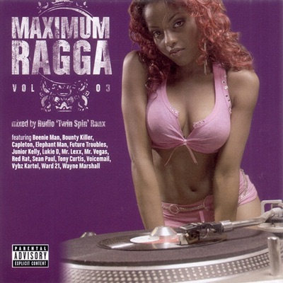  - Maximum Ragga, Vol. 3