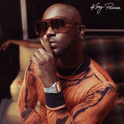 King Promise, Gabzy - Perfect Combi & Naana