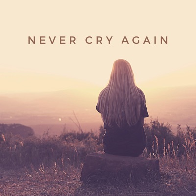  - Never Cry Again (Remixes)