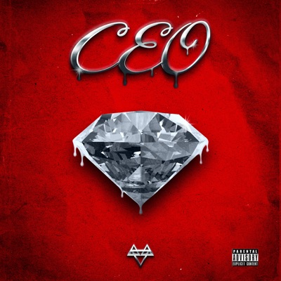  - Ceo