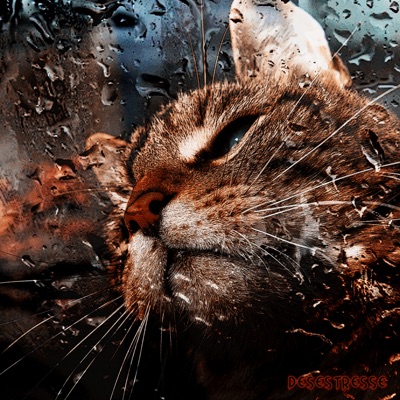  - Chuva para Dormir Profundamente