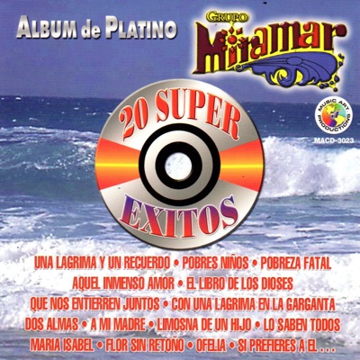  - Album de Platino... 20 Super Éxitos